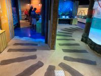 grapevine-tx-atd-concrete-coatings-sundek_998 (1)